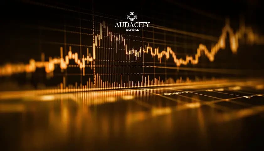 No Real Support or Trader CommunityÂ