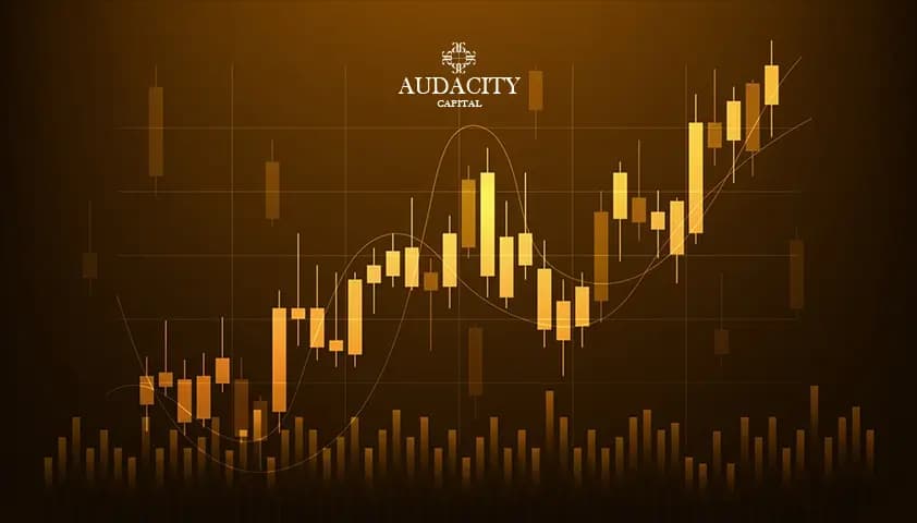 What Is a Signal Provider